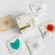 Rhoeco - Detox Nature's Remedy Collection, Teabags