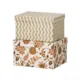 Two Boxes Brick Divya Moss